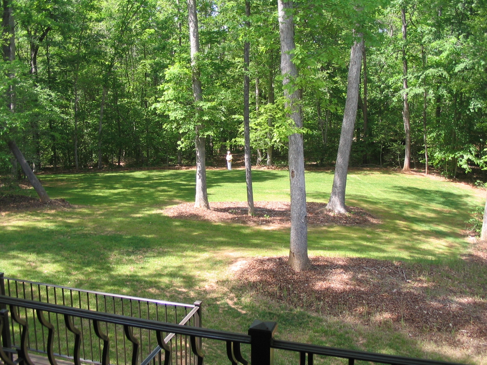 View from back deck